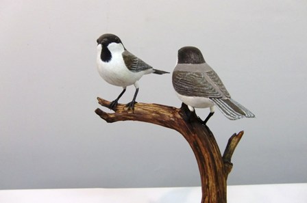 スタディバードアメリカヒドリ　バードカービング tageri-iwa.JPG