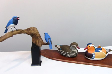 プラチナホームいまいち -やすらぎの場所-｜ギャラリー｜バード