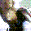 gJVhV[03