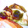 ܂cnl`