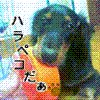 XۃfBQ
