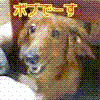 㓡{u03