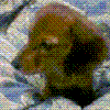 l~11