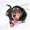 {J@T