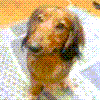 ѓcoeB[