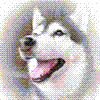 ɓG