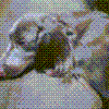 k\q01