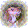 }[