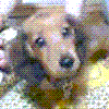 ܂Ƃyddaq`