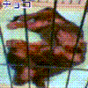 Ԍ傱03