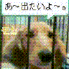 野間口モカ05