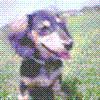AbVOQ