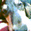 AbVS
