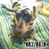 肩ނ01