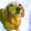 cM01