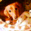 cM03