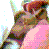 J02