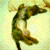 cȂ04