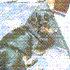 PxGV[03