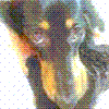qhjtR