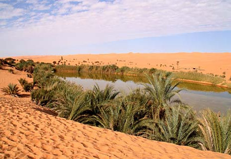 libya081001.jpg