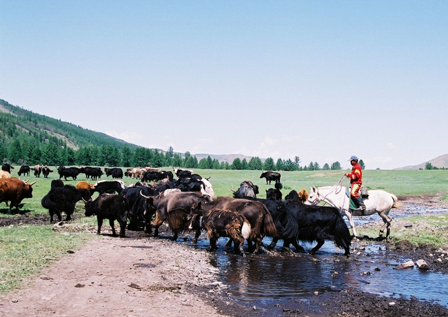 mongolia022001.jpg