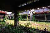 ruin002005.jpg