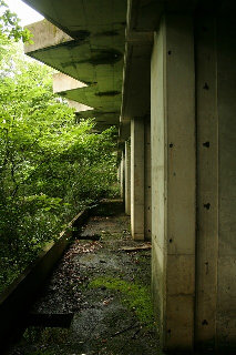 ruin066006.jpg