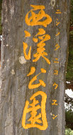 taketomi031007.jpg