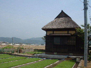 taketomi068001.jpg